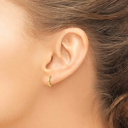 14k Gold 10 mm Hinged Hoop Earrings