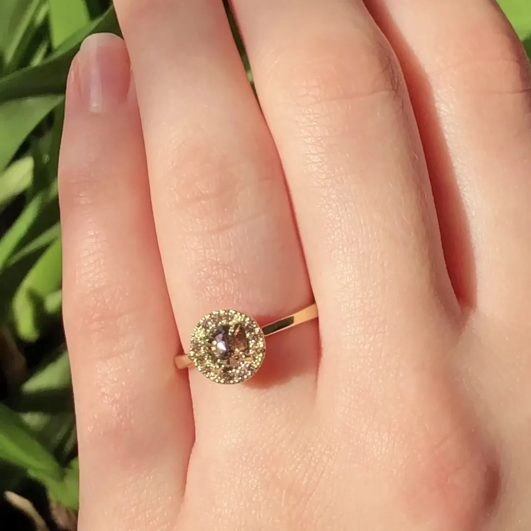 18ct Gold Cognac and Champagne Diamond Halo Ring