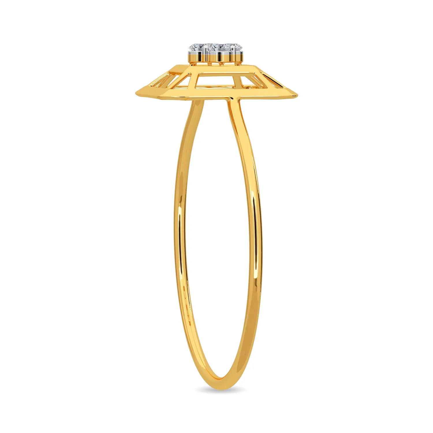 Anja Ring