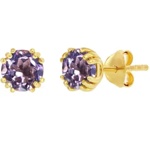 Classic Women's Earrings - Gold Plated February Birthstone Round 6mm Stud | D-8275