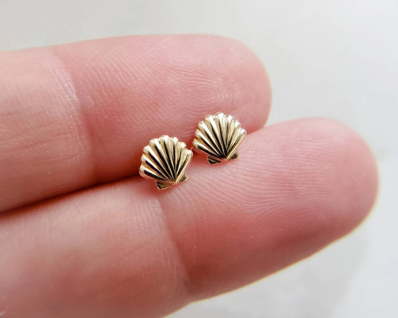 Dainty Seashell Studs