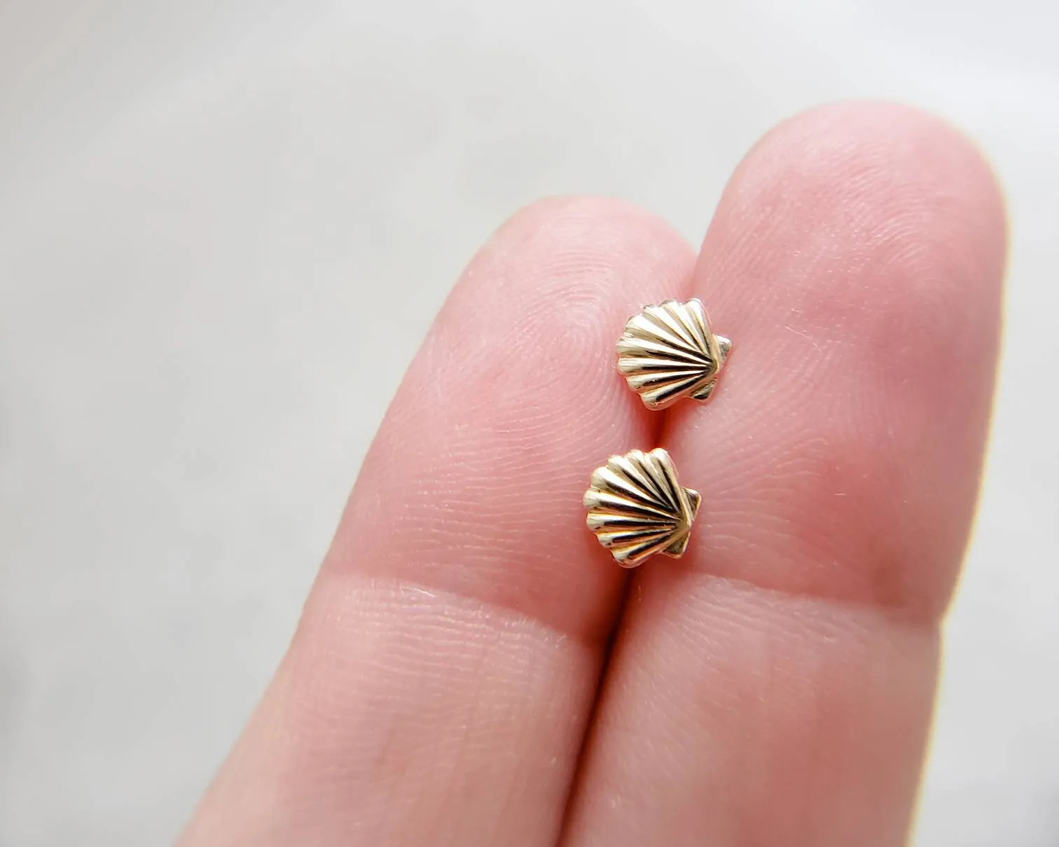 Dainty Seashell Studs