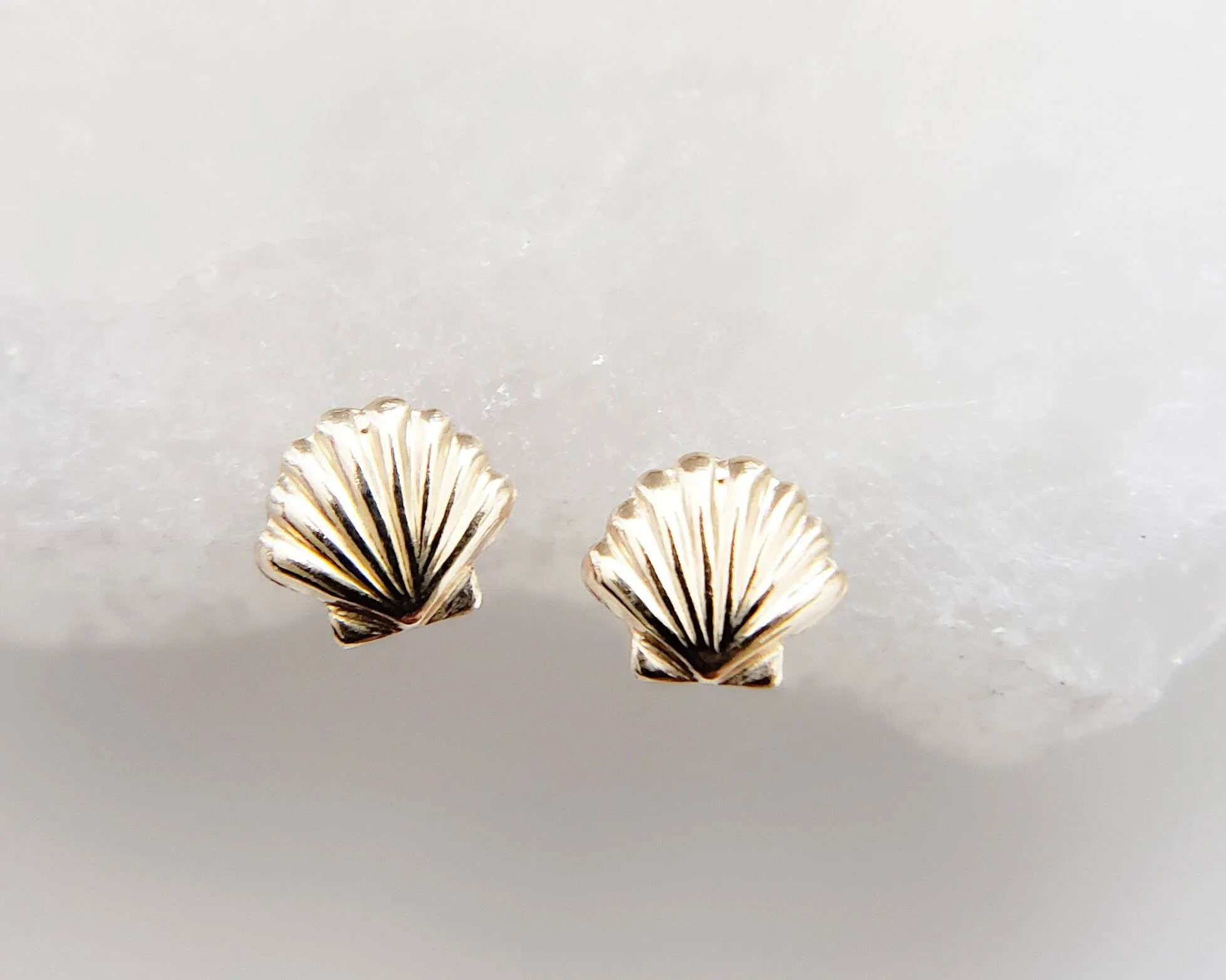 Dainty Seashell Studs