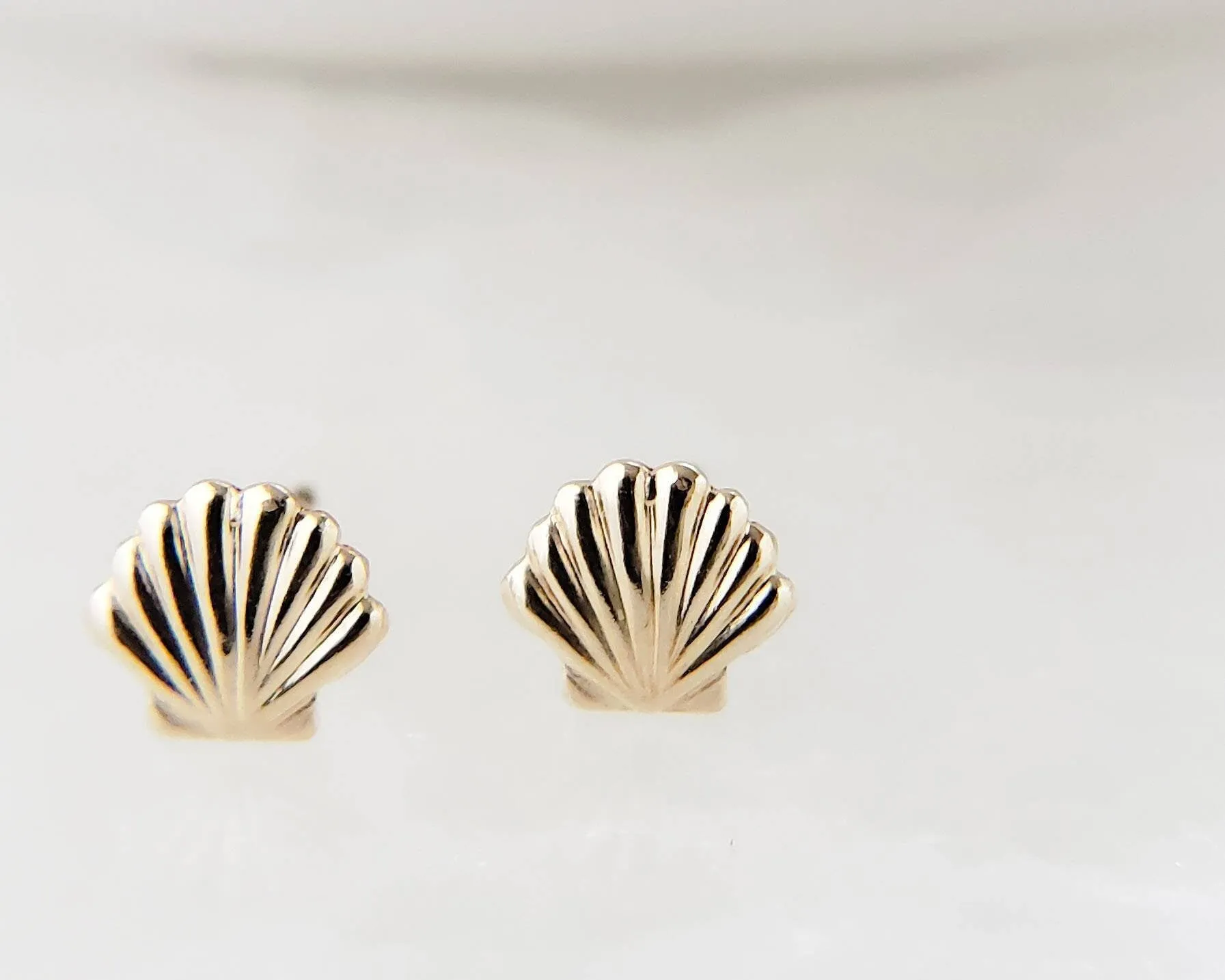 Dainty Seashell Studs