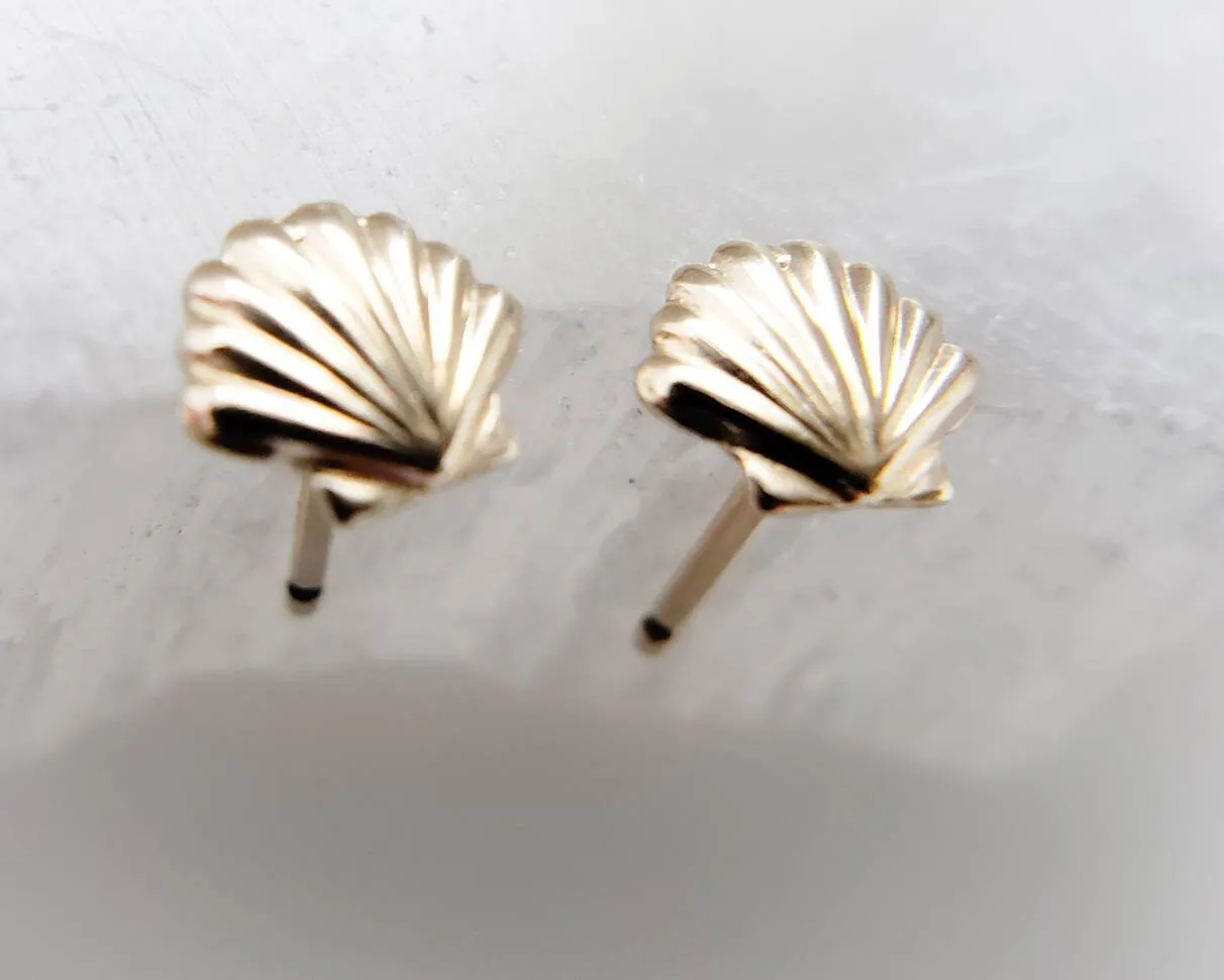 Dainty Seashell Studs