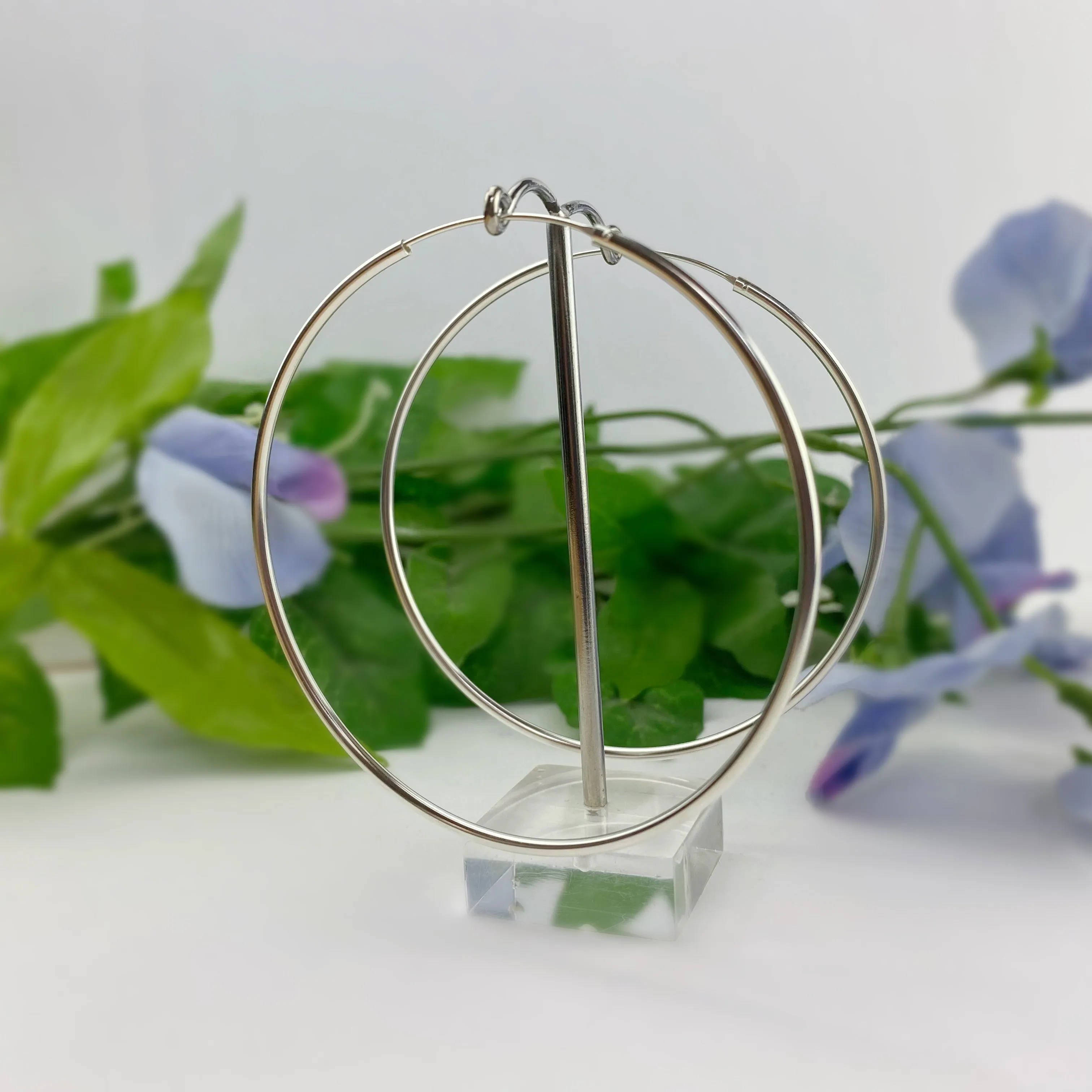 Dita Hoop Earrings - SE5050