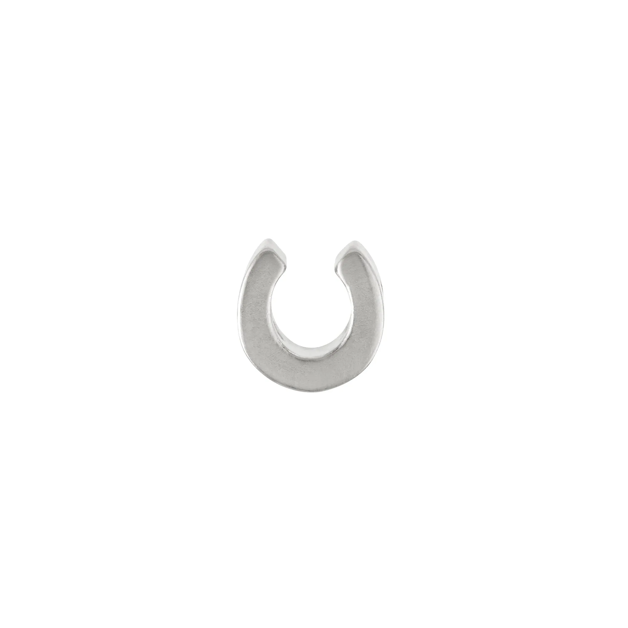 Lucky Horseshoe Charm