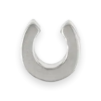 Lucky Horseshoe Charm