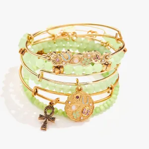Manifest Abundance Charm Bangles, Set of 6