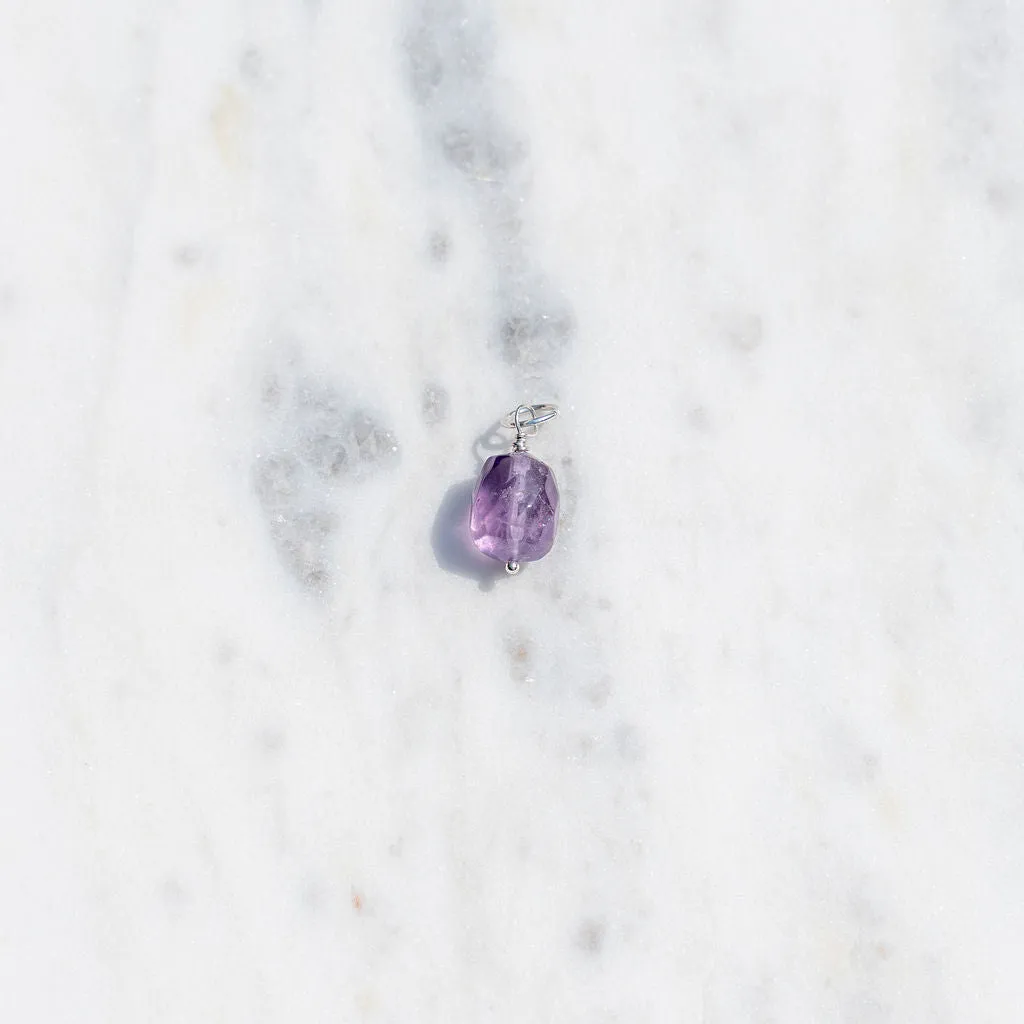 Protextor Parrish Birthstone Charms