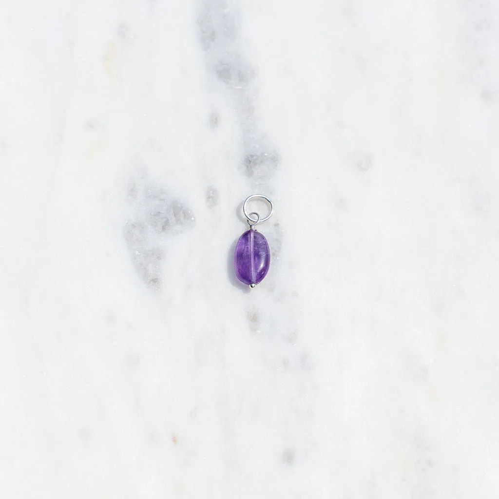 Protextor Parrish Birthstone Charms