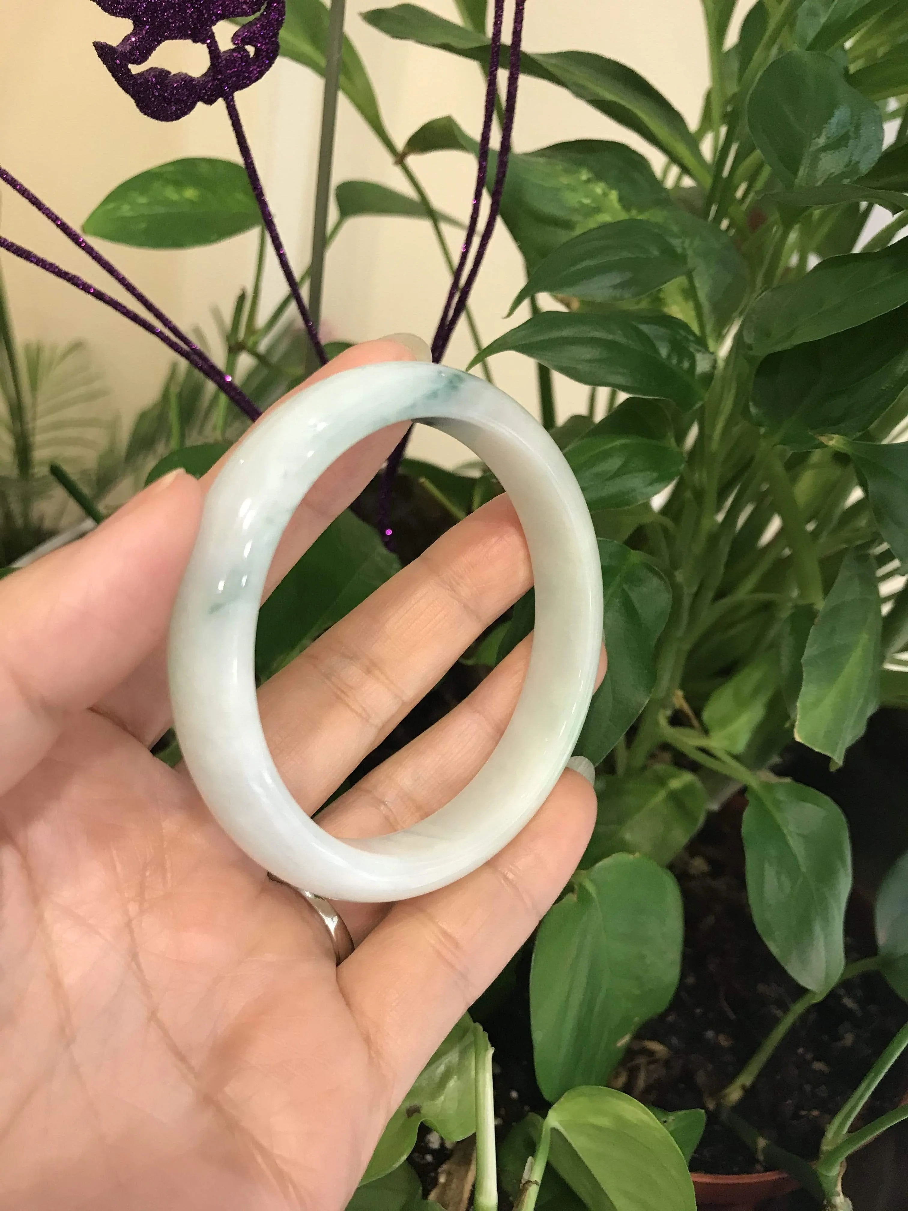 RealJade® "Classic Bangle" Genuine Burmese Light Green Jadeite Jade Bangle Bracelet ( 62.4 mm) #512