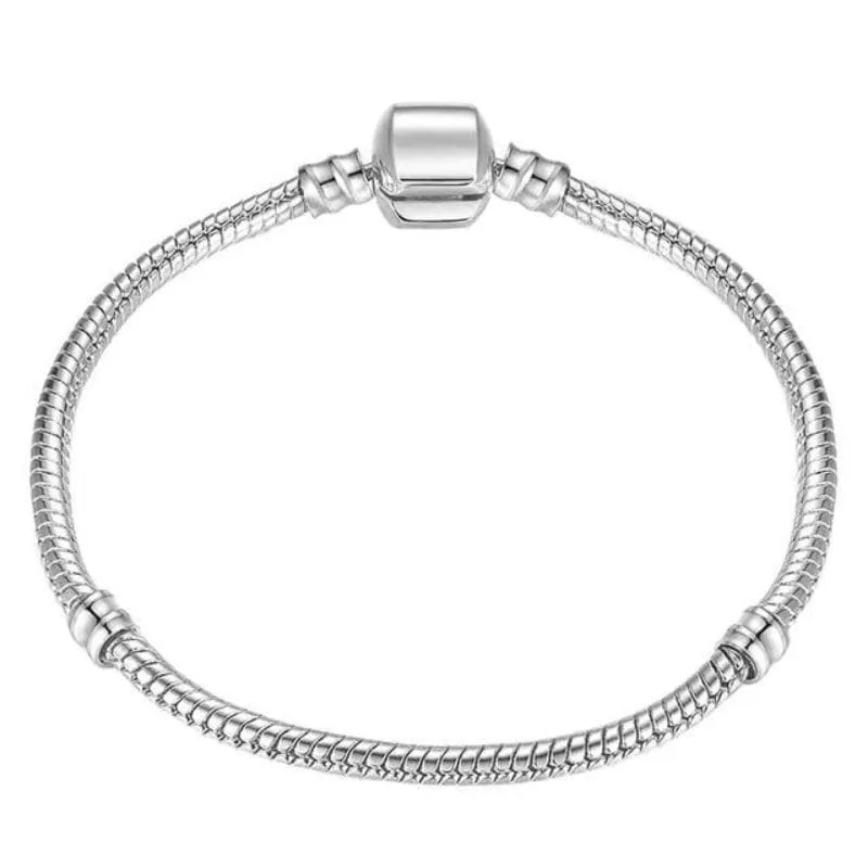 Shimmering Chain Bracelet (Free)