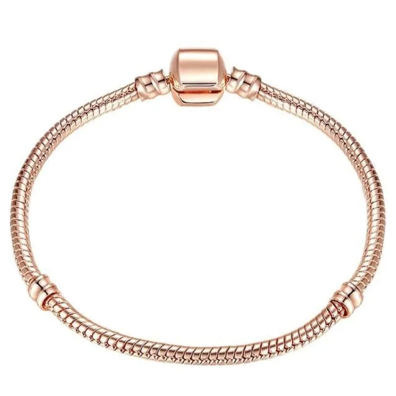 Shimmering Chain Bracelet (Free)