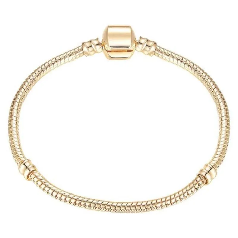 Shimmering Chain Bracelet (Free)