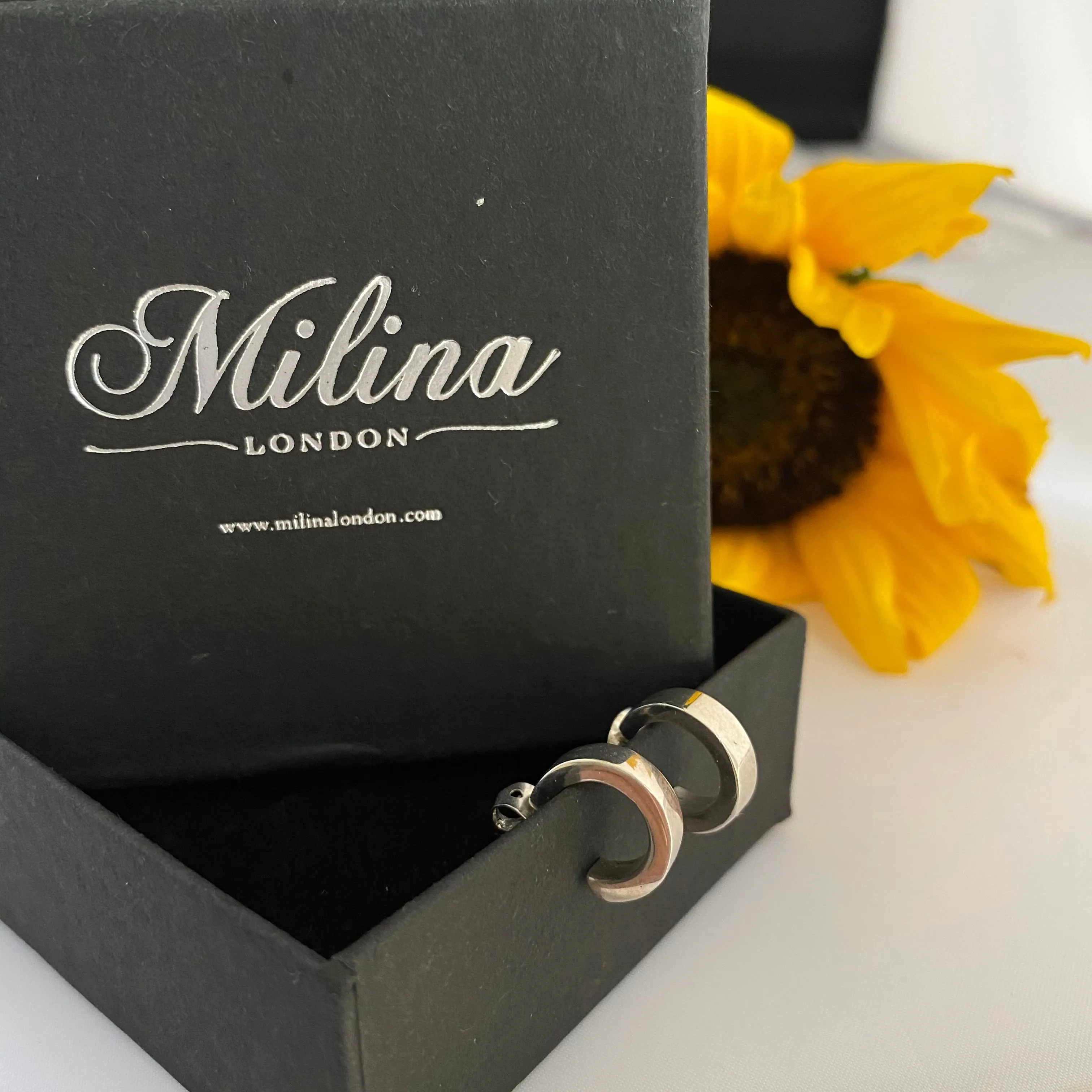 Silver Small Flat Hoop Earrings