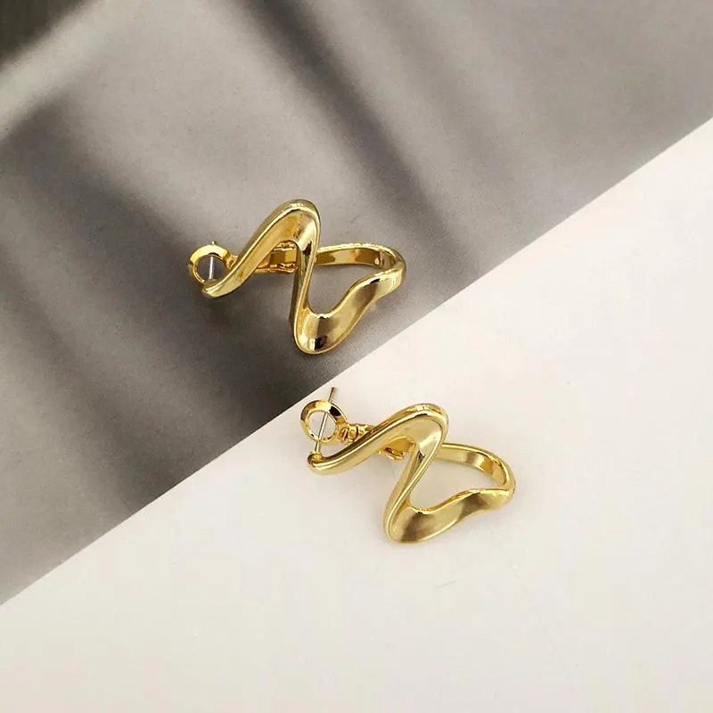 Spiral Wave Shape Stylish Hoops Earrings