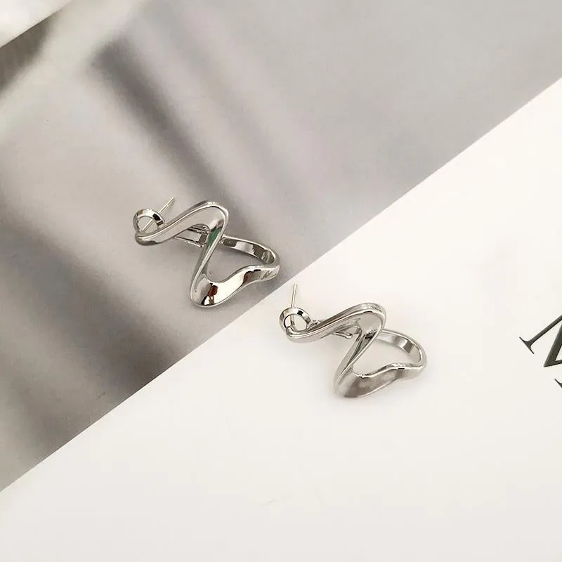 Spiral Wave Shape Stylish Hoops Earrings